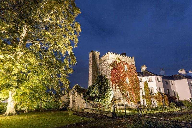 Barberstown Castle Hotel Straffan Kültér fotó