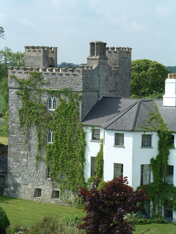 Barberstown Castle Hotel Straffan Kültér fotó